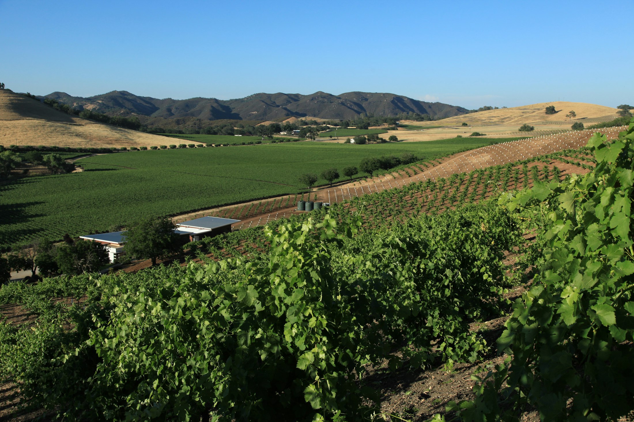 8 F95 BC05 33 CE 44 E3 AC27 0405 E043 BA45